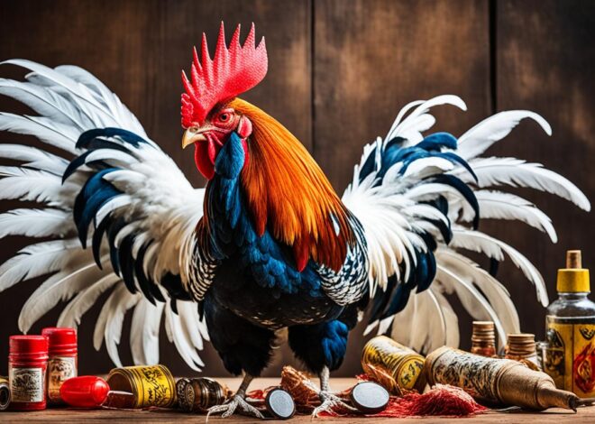 Strategi Menang Tips Sabung Ayam Profesional